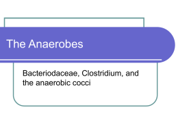 The Anaerobes Bacteriodaceae, Clostridium, and the anaerobic cocci Bacteriodaceae   Classification   Bacteroidaceae family includes the following genera          Bacteroides Fusobacterium Leptotrichia (rare in human diseases) Prevotella Porphyromomas  B.