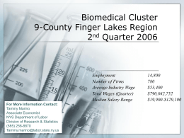 Biomedical Cluster 9-County Finger Lakes Region 2nd Quarter 2006  Employment Number of Firms Average Industry Wage Total Wages (Quarter) Median Salary Range For More Information Contact: Tammy Marino Associate Economist NYS.