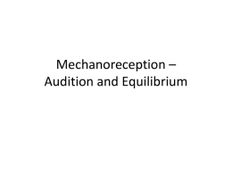 Mechanoreception – Audition and Equilibrium Hearing and Equilibrium  Figure 10.37 The Middle Ear.