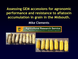 Assessing GEM accessions for agronomic performance and resistance to aflatoxin accumulation in grain in the Midsouth. Mike Clements.