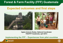 Forest & Farm Facility (FFF) Guatemala Expected outcomes and first steps  Ogden Antonio Rodas, National Coordinator FAO/FFF Guatemala, april 2013  Implementing the FFF –