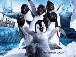 By: KENNEY LOGAN The Scientific name for Penguins are Spheniscidea. Habitat    All 17 species of penguins live in the Southern Hemisphere; on every continent. Penguins are.