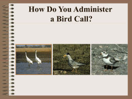 How Do You Administer a Bird Call? Sharing the Resource Sharing the Resource.