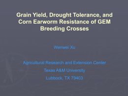 Grain Yield, Drought Tolerance, and Corn Earworm Resistance of GEM Breeding Crosses Wenwei Xu  Agricultural Research and Extension Center  Texas A&M University Lubbock, TX 79403