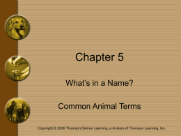 Chapter 5 What’s in a Name? Common Animal Terms Copyright © 2006 Thomson Delmar Learning, a division of Thomson Learning, Inc.