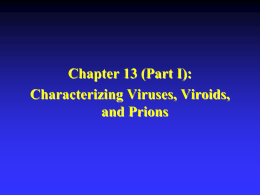 Chapter 13 (Part I): Characterizing Viruses, Viroids, and Prions Introduction to Viruses  “Virus” originates from Latin word “poison”.   Term was originally used by.