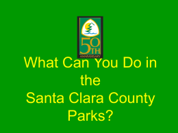 What Can You Do in the Santa Clara County Parks? See waterfalls at Uvas Canyon County Park.