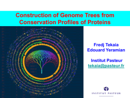 Construction of Genome Trees from Conservation Profiles of Proteins  Fredj Tekaia Edouard Yeramian Institut Pasteur tekaia@pasteur.fr.