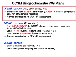 CCSM Biogeochemistry WG Plans • CCSM1-carbon  (Fung, Doney, Lindsay, John)  – Interactive land (CASA’) and ocean (OCMIP’) C cycles; prognostic CO2 for atmospheric radiation –