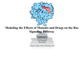 Modeling the Effects of Mutants and Drugs on the Ras Signaling Pathway RuleBenders Gianluca Arianna Lyle Kingsbury Piotr Gauza Lehman College CMACS Workshop, 2014