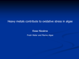 Heavy metals contribute to oxidative stress in algae Enue Sicairos Fresh Water and Marine Algae.