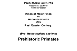 Prehistoric Cultures Class Slides Set # 01B Tim Roufs’ section  Kinds of Major Finds and  Announcements of the  Past Quarter Century: (Pre- Homo sapiens sapiens)  Prehistoric Primates.