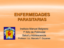 ENFERMEDADES PARASITARIAS Instituto Manuel Belgrano 1º Año de Polimodal Salud y Adolescencia Profesor: Lic. Marcelo F.