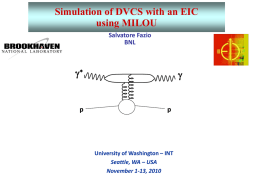 Simulation of DVCS with an EIC using MILOU Salvatore Fazio BNL  g*  p  g  p  University of Washington – INT Seattle, WA – USA November 1-13, 2010