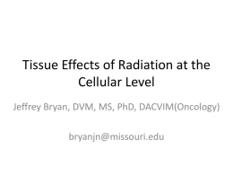 Tissue Effects of Radiation at the Cellular Level Jeffrey Bryan, DVM, MS, PhD, DACVIM(Oncology) bryanjn@missouri.edu.