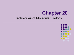 Chapter 20 Techniques of Molecular Biology The methods of molecular biology depend upon and were developed from an understanding of the properties of biological macromolecules.