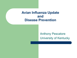 Avian Influenza Update and Disease Prevention  Anthony Pescatore University of Kentucky Avian Influenza in the US is NOT the same Virus as “Bird” Flu in Asia.