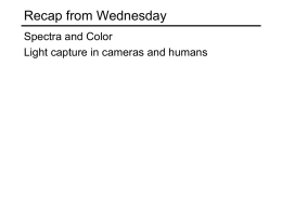 Recap from Wednesday Spectra and Color Light capture in cameras and humans.