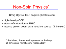 Non-Spin  * Physics  Craig Ogilvie, ISU, cogilvie@iastate.edu • high-density QCD • status of saturation at RHIC • intense proton beam as a neutrino source (J.