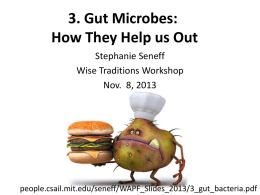 3. Gut Microbes: How They Help us Out Stephanie Seneff Wise Traditions Workshop Nov.