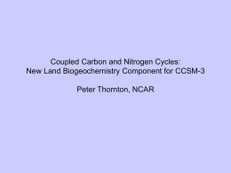 Coupled Carbon and Nitrogen Cycles: New Land Biogeochemistry Component for CCSM-3  Peter Thornton, NCAR.