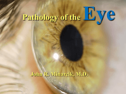 Pathology of the  Eye  John R. Minarcik, M.D. Outline and Introduction SECTIONS 1. Orbit 2.