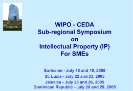 WIPO - CEDA Sub-regional Symposium on Intellectual Property (IP) For SMEs Suriname - July 18 and 19, 2005 St.