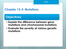 13-3  Chapter 13-3: Mutations Objectives: • Explain the difference between gene mutations and chromosomal mutations • Evaluate the severity of various genetic mutations.
