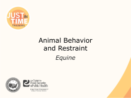 Animal Behavior and Restraint Equine Equine Characteristics ● Prey animals ● Grazers ● Fight or flight ● Monofocal and biofocal vision – Blind spots  Directly in front  Directly.