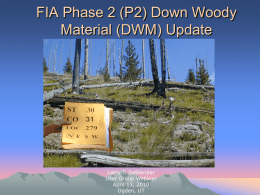 FIA Phase 2 (P2) Down Woody Material (DWM) Update  Larry T. DeBlander User Group Webinar April 13, 2010 Ogden, UT.