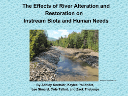The Effects of River Alteration and Restoration on Instream Biota and Human Needs  Adirondackexplorer.org  By Ashley Koetsier, Kaylee Pollander, Lee Simard, Cole Talbot, and Zack.