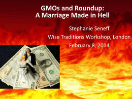 GMOs and Roundup: A Marriage Made in Hell Stephanie Seneff Wise Traditions Workshop, London February 8, 2014