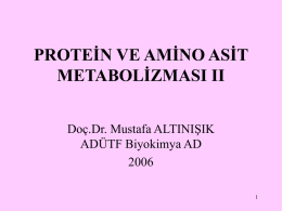 PROTEİN VE AMİNO ASİT METABOLİZMASI II Doç.Dr. Mustafa ALTINIŞIK ADÜTF Biyokimya AD1 TCA döngüsü ara ürünlerinden amino asit sentezi Trikarboksilik asit döngüsünün (TCA döngüsü) ara maddelerinden.