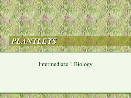 PLANTLETS Intermediate 1 Biology INTRODUCTION • A plantlet is a tiny version of a plant still attached somewhere to its parent plant  • The.