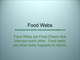 Food Webs Food Webs are Food Chains that intersect each other. Food webs are what really happens in nature.