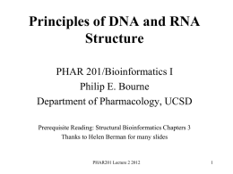 Principles of DNA and RNA Structure PHAR 201/Bioinformatics I Philip E. Bourne Department of Pharmacology, UCSD Prerequisite Reading: Structural Bioinformatics Chapters 3 Thanks to Helen Berman.