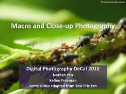 Photo by Daniel Schwen  Macro and Close-up Photography  Digital Photography DeCal 2010 Nathan Yan Kellen Freeman Some slides adapted from Zexi Eric Yan.