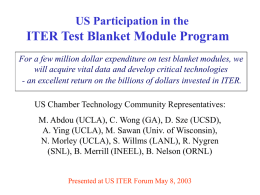 US Participation in the  ITER Test Blanket Module Program For a few million dollar expenditure on test blanket modules, we will acquire vital.