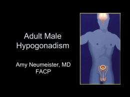 Adult Male Hypogonadism Amy Neumeister, MD FACP Objectives: Adult Male Hypogonadism • • • •  Screening Diagnosis/Differential Treatment Adverse events & safety monitoring.