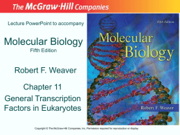 Lecture PowerPoint to accompany  Molecular Biology Fifth Edition  Robert F. Weaver Chapter 11 General Transcription Factors in Eukaryotes Copyright © The McGraw-Hill Companies, Inc.