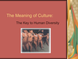 The Meaning of Culture: The Key to Human Diversity Does this picture offend you?