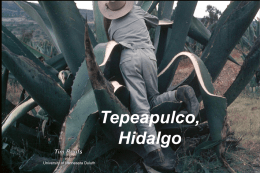 Tepeapulco, Hidalgo © 2009-2014  University of Minnesota Duluth State of Hidalgo aka maguey “century cactus plant”  tlachiquero (Soltero Dorantz) Los Cides, Hidalgo, Mexico.