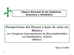 Cámara Nacional de las Industrias Azucarera y Alcoholera  Perspectivas del Etanol a base de caña en México 1er Congreso Internacional de Biocombustibles en Guadalajara, Jalisco México Mayo.