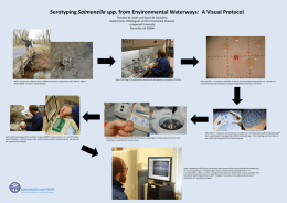Serotyping Salmonella spp. from Environmental Waterways: A Visual Protocol Timothy M.