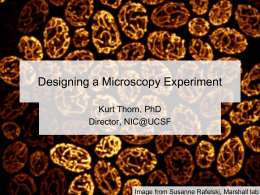 Designing a Microscopy Experiment Kurt Thorn, PhD Director, NIC@UCSF  Image from Susanne Rafelski, Marshall lab.