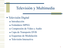 Televisión y Multimedia  Televisión Digital        Introducción Estándares MPEG Compresión de Vídeo y Audio Capa de Transporte DVB Esquemas de Modulación Televisión Interactiva.