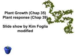 Plant Growth (Chap 35) Plant response (Chap 39) Slide show by Kim Foglia modified.