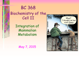 BC 368 Biochemistry of the Cell II Integration of Mammalian Metabolism May 7, 2015 Highlights of Metabolism 1.