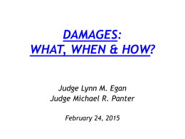 DAMAGES: WHAT, WHEN & HOW? Judge Lynn M. Egan Judge Michael R. Panter February 24, 2015