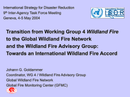 International Strategy for Disaster Reduction 9th Inter-Agency Task Force Meeting Geneva, 4-5 May 2004  Transition from Working Group 4 Wildland Fire to the Global.